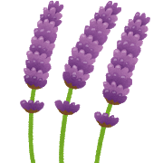 flower_lavender.png