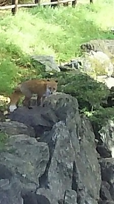 DSC_0800.JPG