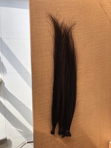 ヘアドネーション2.jpg ヘアドネーション2.jpg