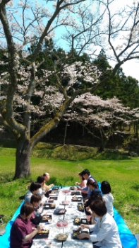 hanami.jpg hanami.jpg