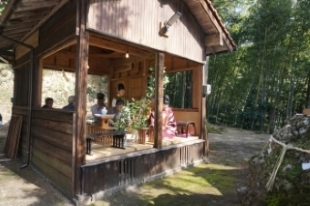 shanichi1L.jpg