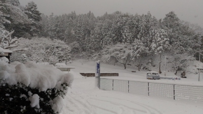 snow1.jpg