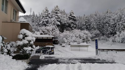 snow2.jpg