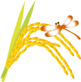 null null