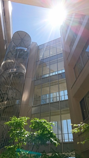 20180522-1.JPG