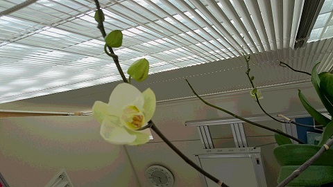 DSC_0172.JPG