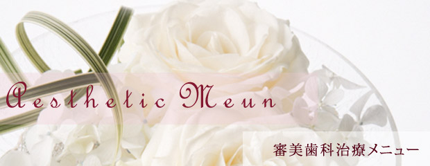 審美歯科治療メニュー