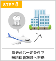 抜歯から保管完了通知まで