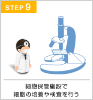抜歯から保管完了通知まで