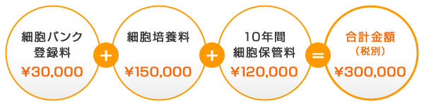 歯髄細胞登録料及び保管料(10年間)