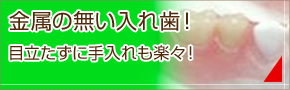 金属の無い入れ歯！目立たずに手入れも楽々！